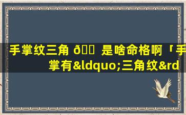 手掌纹三角 🐠 是啥命格啊「手掌有“三角纹”的人,一生不缺钱 🐦 花,迟早暴富!」